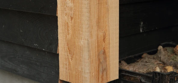 Douglas kapschuur.02