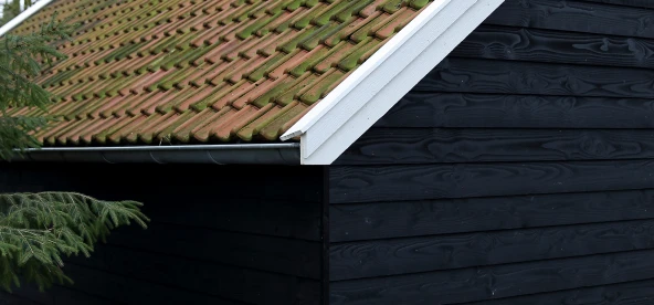 Kaasschieter Sellingen (7)