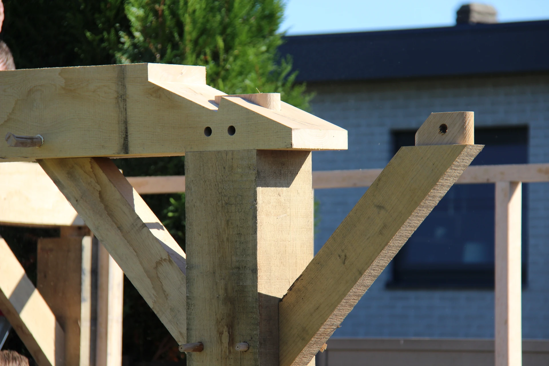 Authentieke verbinding pagina 7.01