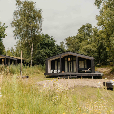 910dd954de7aca819872407365a80ca231f974b9